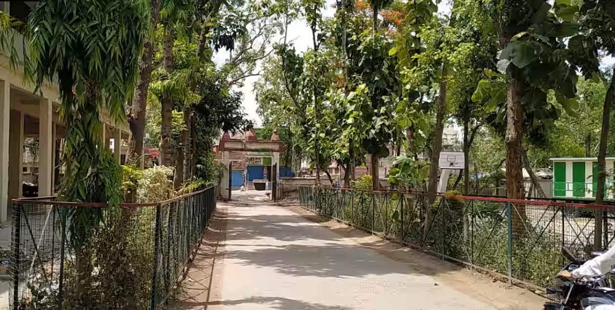 NSS Image